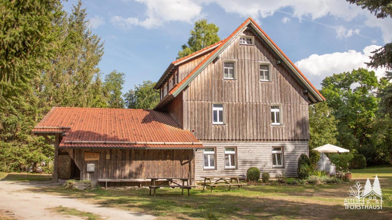 Altes Forsthaus Im Harz Lägenhet Elbingerode  Exteriör bild