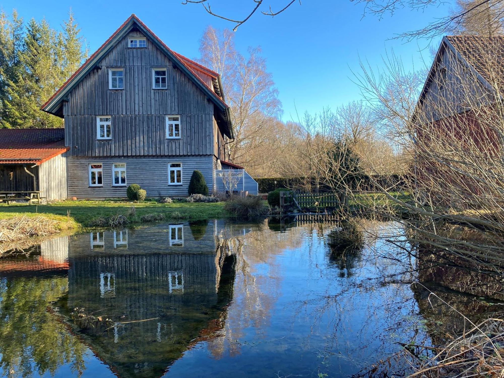 Altes Forsthaus Im Harz Lägenhet Elbingerode  Exteriör bild
